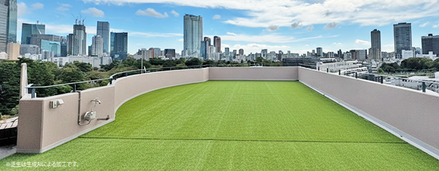 ルーフガーデン